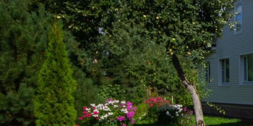 Коттедж/дом шоссе Аннинское, 58