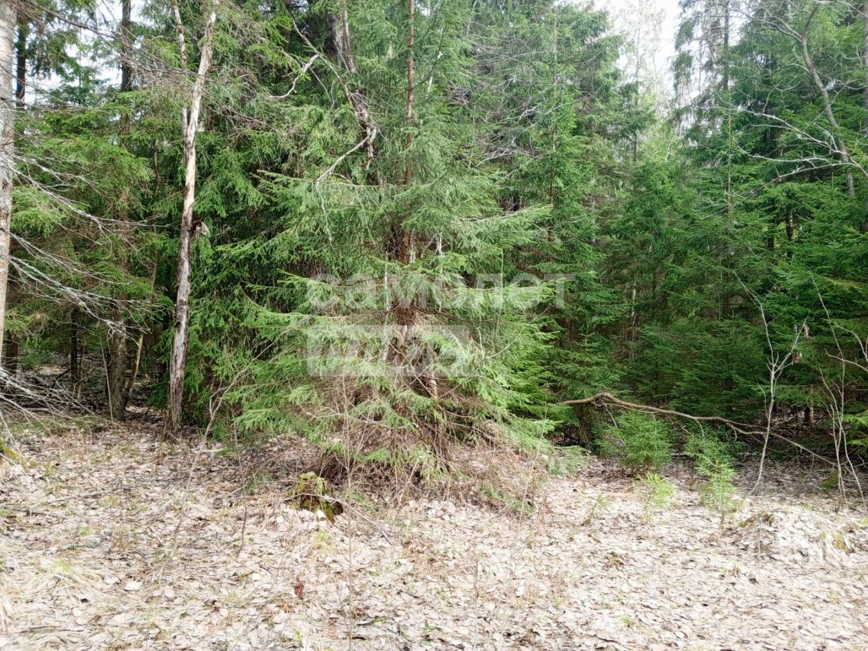 Продажа земли Новое СНТ, улица Восточная