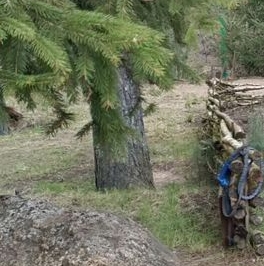 Продажа дома Сосновый Бор, Малахит СНТ