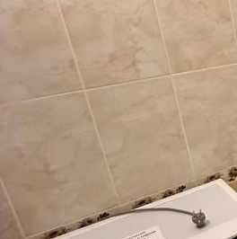 Аренда 1-комн квартиры на вторичном рынке пос. Шушары, Славянка тер., улица Ростовская, 22