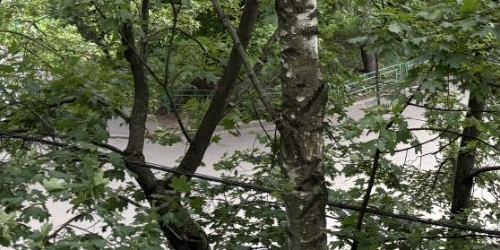 2-комн квартира улица 26 Бакинских Комиссаров, 6к2