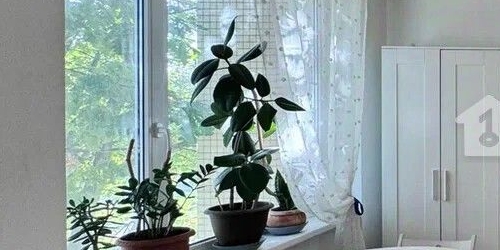 1-комн квартира проспект Луначарского, 88К1