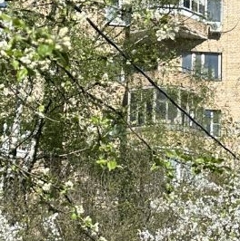 Продажа 2-комн квартиры на вторичном рынке пос. Дачного хозяйства Архангельское, 14