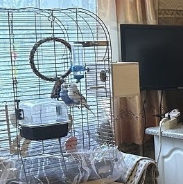 Продажа 2-комн квартиры на вторичном рынке Гурьевский проезд, 11К2 Продажа 2-комн квартиры на вторичном рынке Гурьевский проезд, 11К2