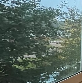 Продажа 1-комн квартиры на вторичном рынке Подольск, Тепличная улица, 2 Продажа 1-комн квартиры на вторичном рынке Подольск, Тепличная улица, 2