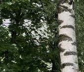 Продать Квартиры вторичка улица Ивана Франко, 36   