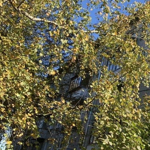 2-комн квартира Федоровское городской поселок, улица Центральная, 1