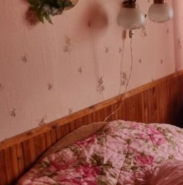 Продажа дома Лебяжье тер., Лебяжье СНТ, 500