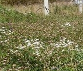 Продать Земельные участки, земля пос. Троицкая Гора, улица Мужества   