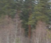 Продать Дачи, коттеджи, загородные дома пос. Сосново, улица Лесная, 56   