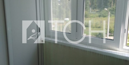 1-комн квартира Лесной, Центральная ул, 11