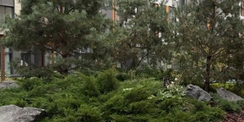 2-комн квартира улица Грибалевой, 7к1