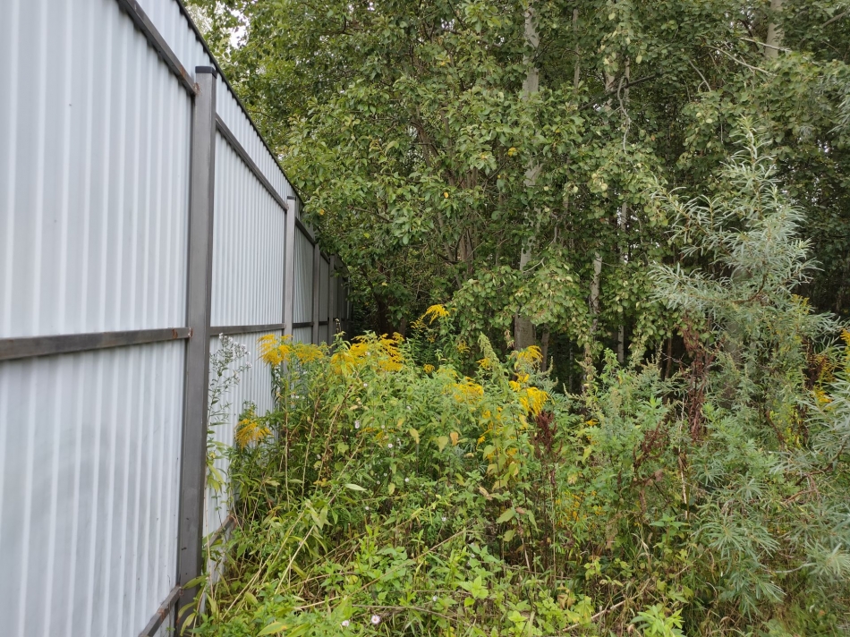 Продажа земли коттеджный посёлок Согласие-2, коттеджный посёлок Согласие-2