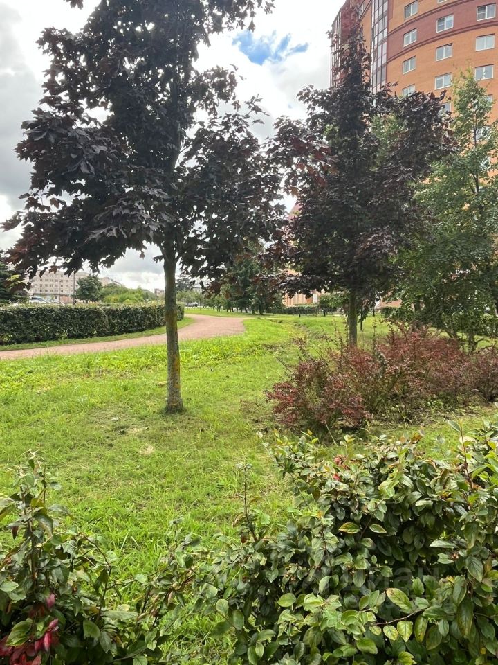 Продажа 1-комн квартиры на вторичном рынке Ломоносов, Александровская улица, 30