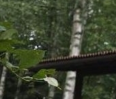 Продать Дачи, коттеджи, загородные дома Скиф СНТ  307 