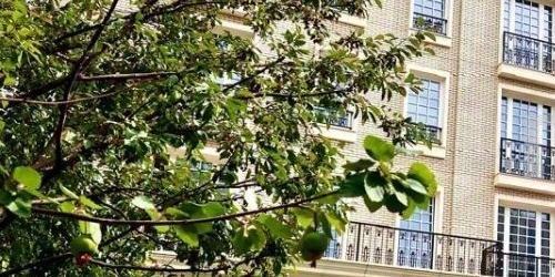 5-комн квартира улица Ефремова, 19к3