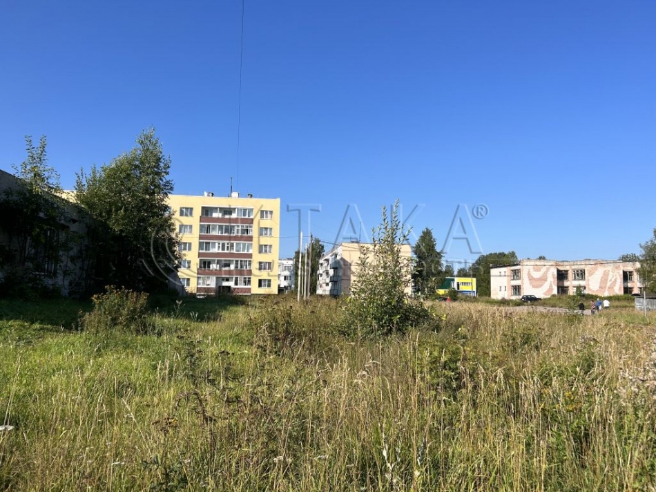 Продажа земли Шамокша, Шамокша д., д. 59