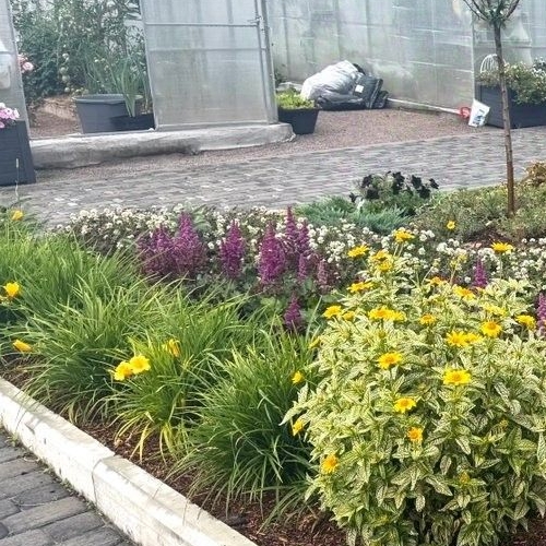 Коттедж/дом д. Вярлево, улица Дорожная