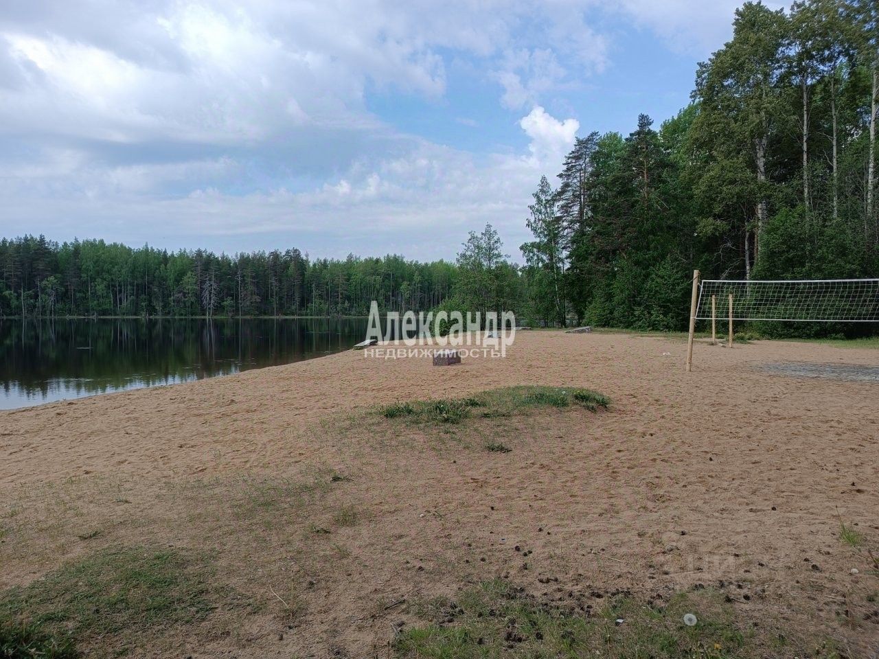 Продажа земли Алмаз СНТ, улица Еловая