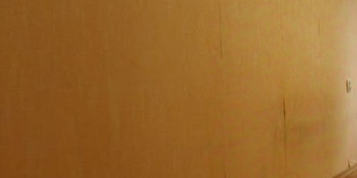 Студия Зеленый проспект, 50