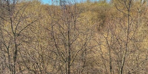 3-комн квартира Мосфильмовский 2-й пер,  д. 21