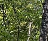 Продать Квартиры вторичка Ивановская улица, 18   