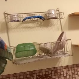 Аренда 1-комн квартиры на вторичном рынке Всеволожск, улица Дружбы, 4к3