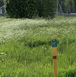 Продажа земли Северная миля кп, д. 125 Продажа земли Северная миля кп, д. 125