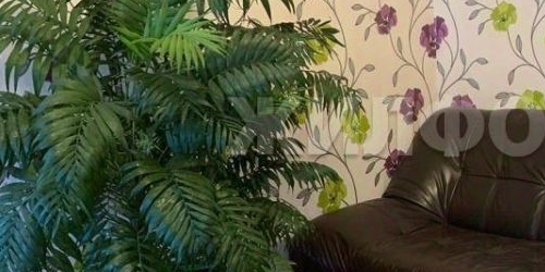 5-комн квартира Садовая улица, 44