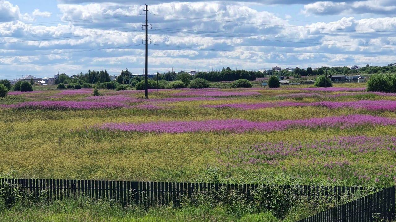 Продажа дома д. Сашино, улица Михайловская