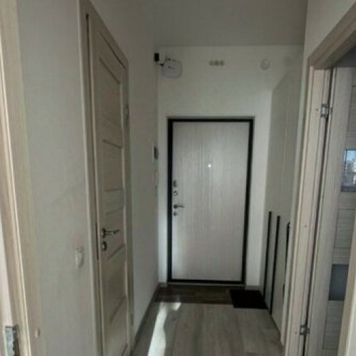 1-комн квартира Светлановский пр-кт,  д. 8