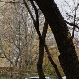 Продажа 3-комн квартиры на вторичном рынке улица Трофимова, 13