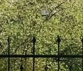 Продать Квартиры вторичка Петергоф, улица Аврова, 26к1   