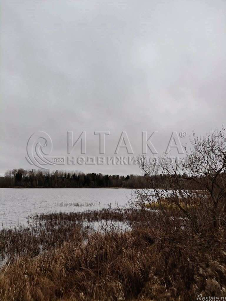 Продажа земли Богатыри, Богатыри п.