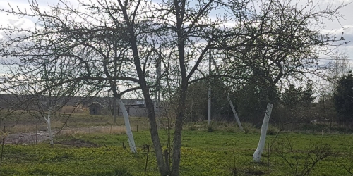 Коттедж/дом Средняя Колония дер.