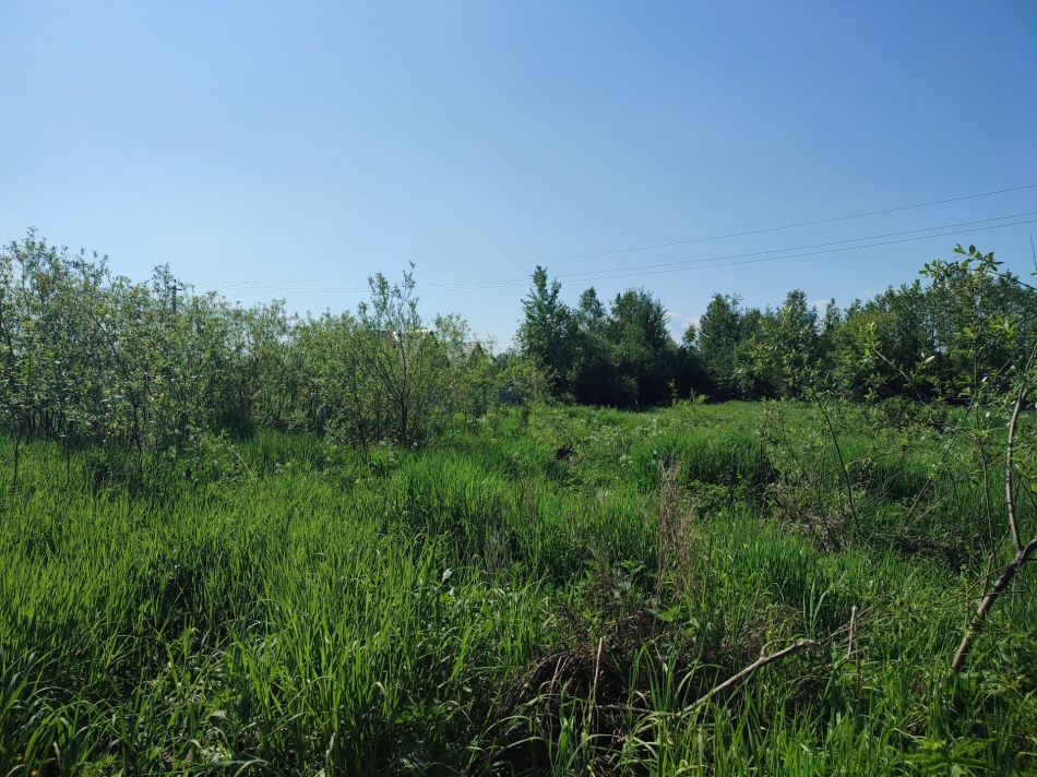 Продажа земли деревня Кузнецы, Посадский бульвар