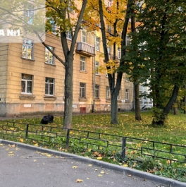 Продажа 2-комн квартиры на вторичном рынке Республиканская улица,  д. 18 к2