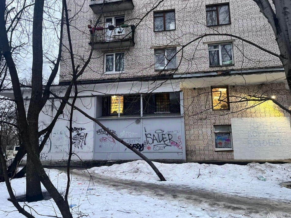 Аренда ПСН Муринский 2-й пр-кт,  д. 10