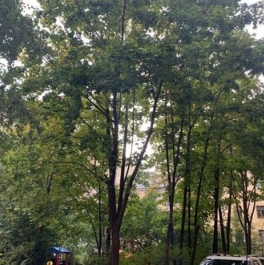 Продажа 3-комн квартиры на вторичном рынке Караванная улица,  д. 24-26