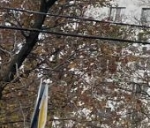 Продать Комнаты в квартирах Самаркандский бульвар, 6К1   