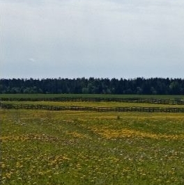 Продажа земли д. Горки, 23А