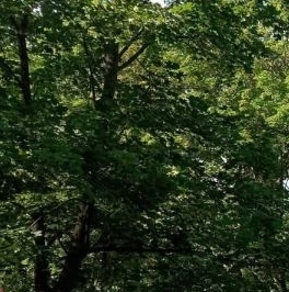 Продажа 2-комн квартиры на вторичном рынке Барыбино мкр, улица Агрохимиков, 4 Продажа 2-комн квартиры на вторичном рынке Барыбино мкр, улица Агрохимиков, 4