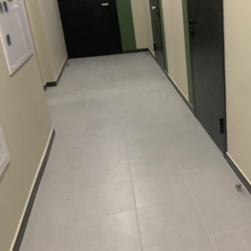 Студия пос. Шушары, улица Чудовская, 14к1