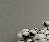 Продать Квартиры вторичка Подольск, Тепличная улица, 11а   