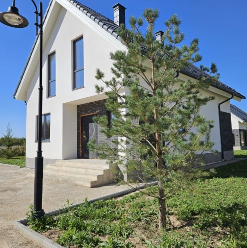 Коттедж/дом Авдотьино, Шоссейная улица