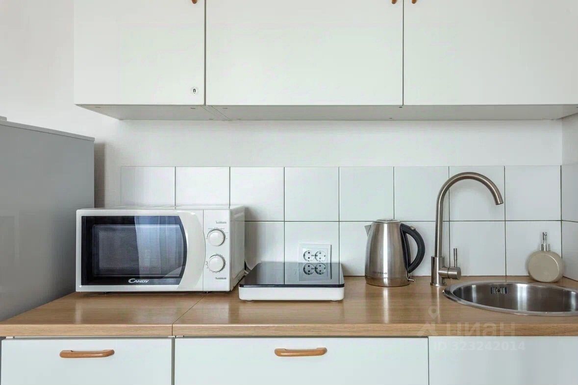 Аренда 1-комн квартиры на вторичном рынке пос. Песочный, Садовая улица, 81