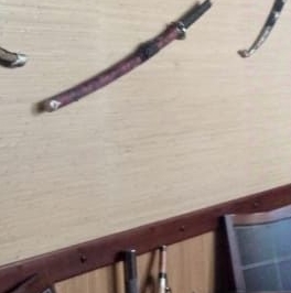 Продажа дома Орбита садовое товарищество, 8-я линия,  д. 337