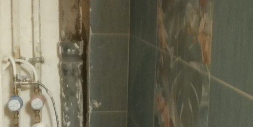 Комната Красное Село г., Красное Село г.,  д. 8