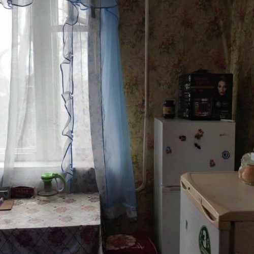 1-комн квартира д. Батово, 5