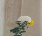 Сдать в аренду Квартиры вторичка Саввино мкр, Балашиха, улица Детская  11 